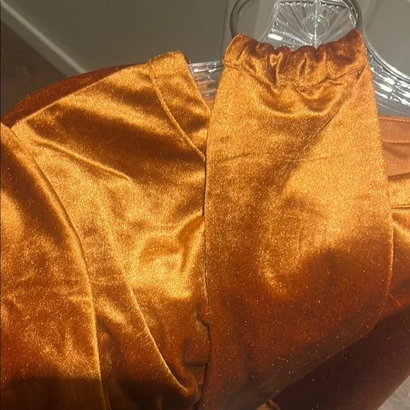 Brown Velvet Short Sleeve Top with Belt - Picture 5 of 6